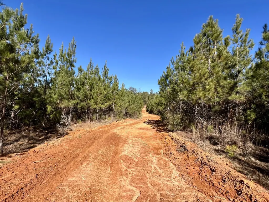 0 Ararat Road Toxey AL 36921