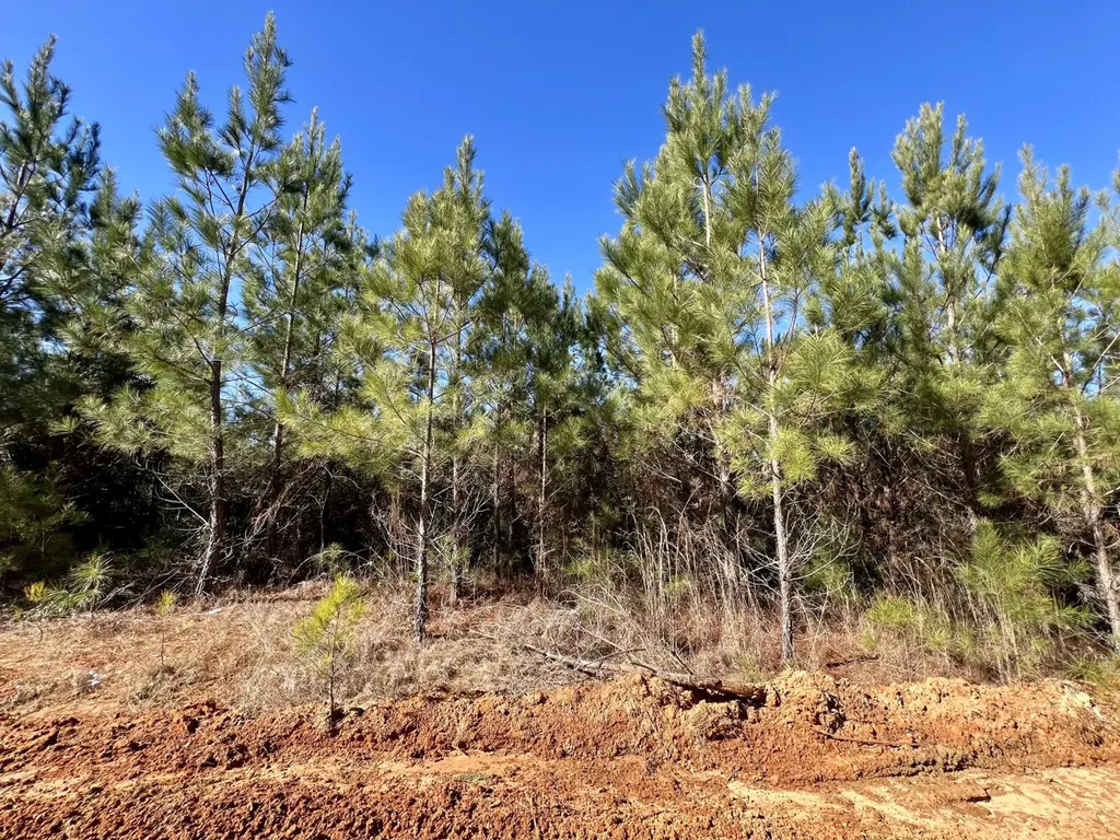 0 Ararat Road Toxey AL 36921