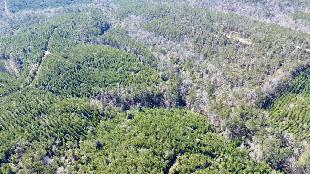 0 Ararat Road Toxey AL 36921