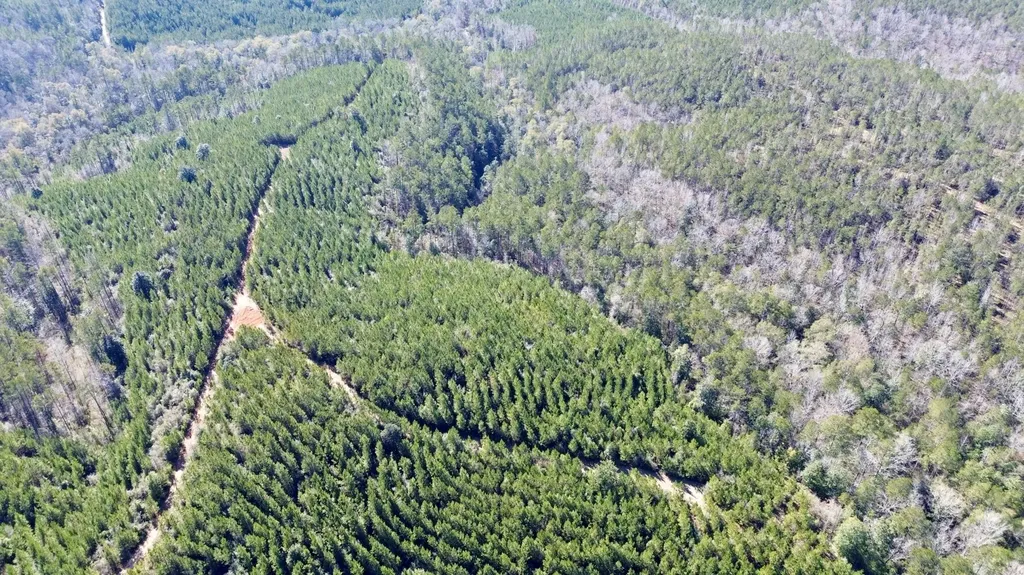 0 Ararat Road Toxey AL 36921