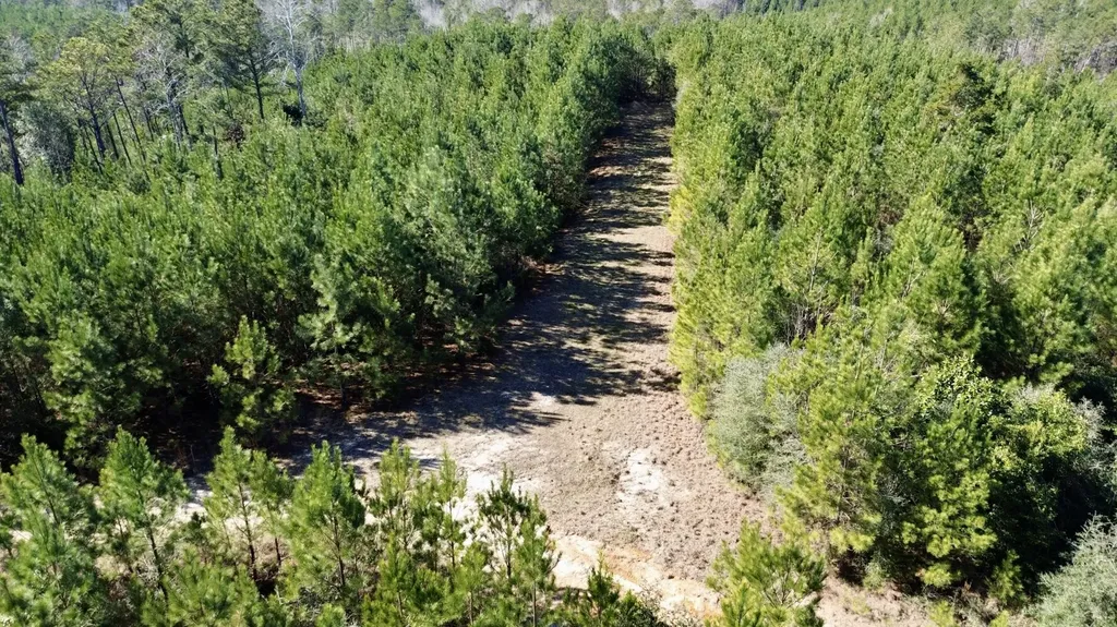 0 Ararat Road Toxey AL 36921