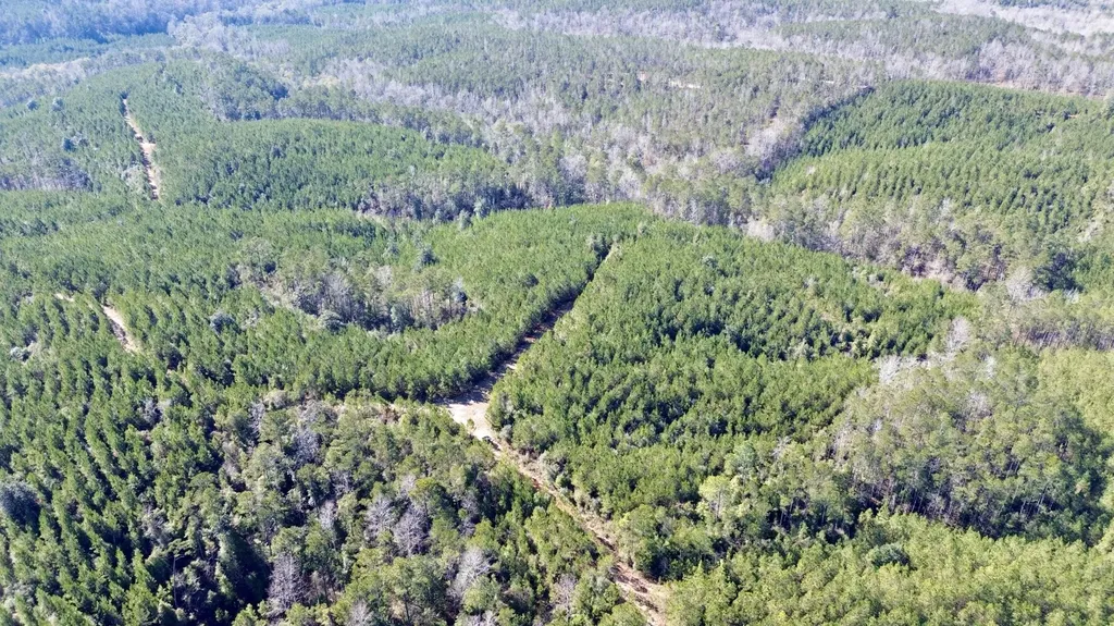 0 Ararat Road Toxey AL 36921