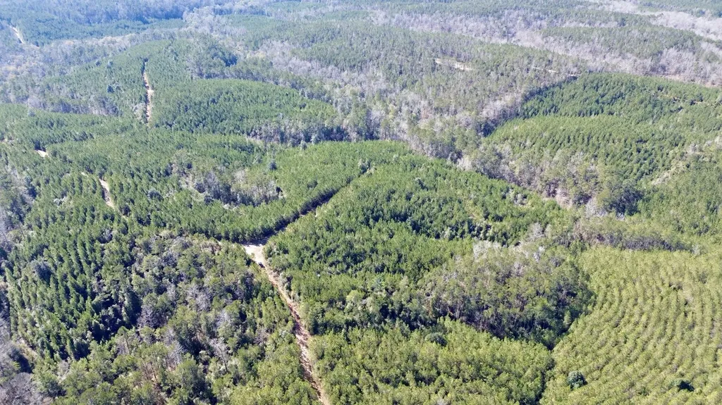 0 Ararat Road Toxey AL 36921