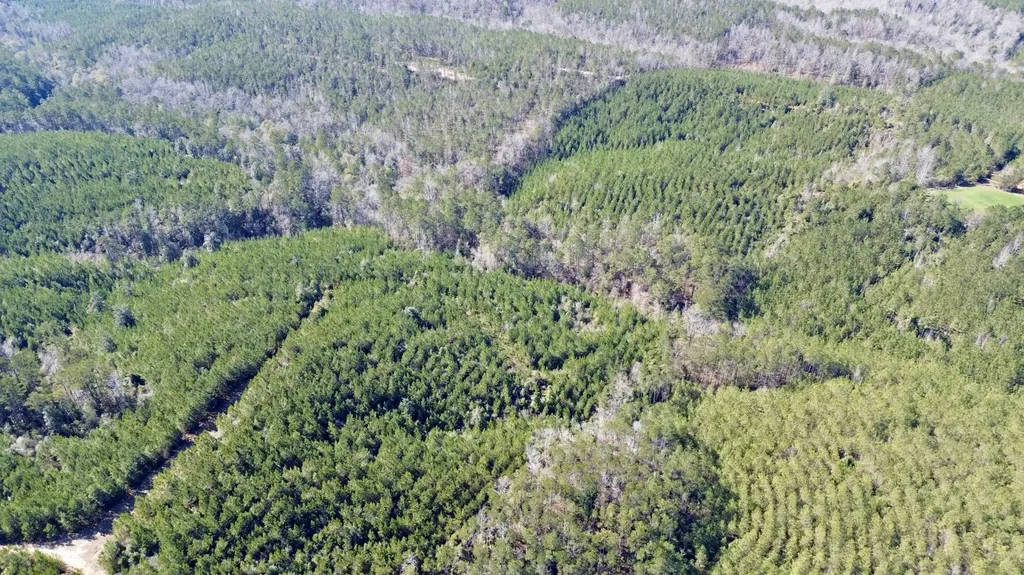 0 Ararat Road Toxey AL 36921