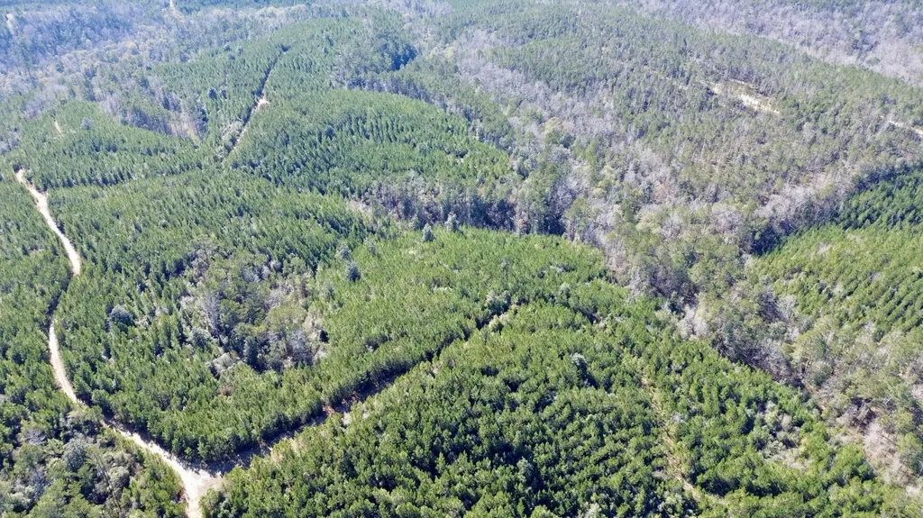 0 Ararat Road Toxey AL 36921