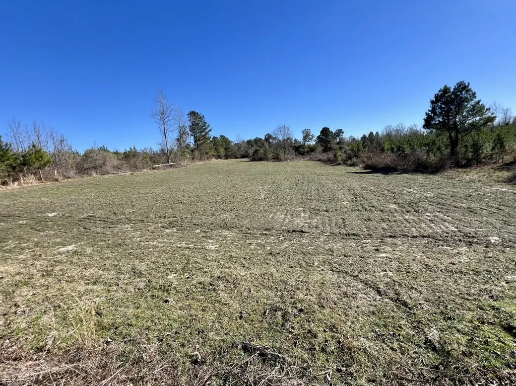 0 County Road 32 Mollie AL 36535