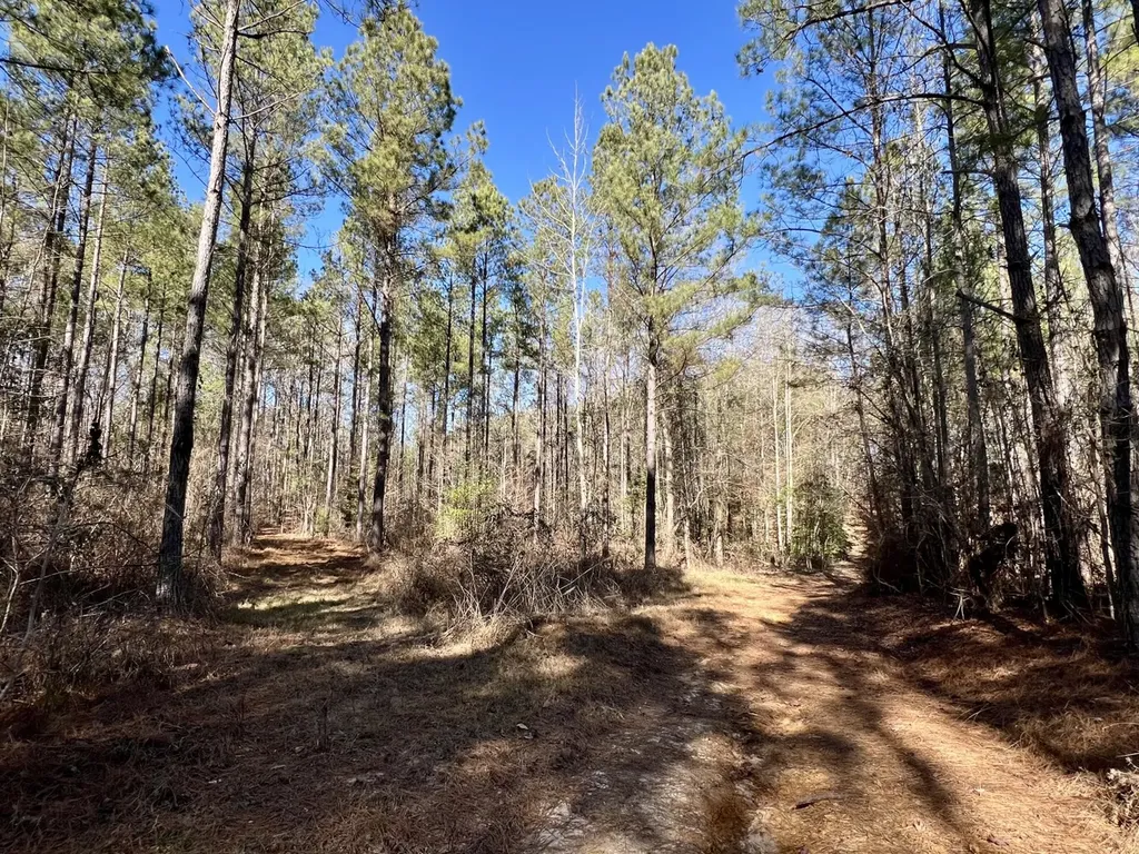 0 County Road 32 Mollie AL 36535