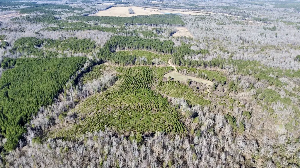 0 County Road 32 Mollie AL 36535