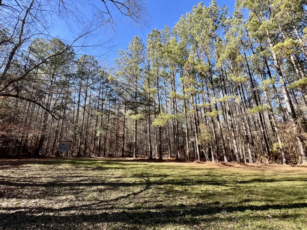 0 County Road 32 Mollie AL 36535