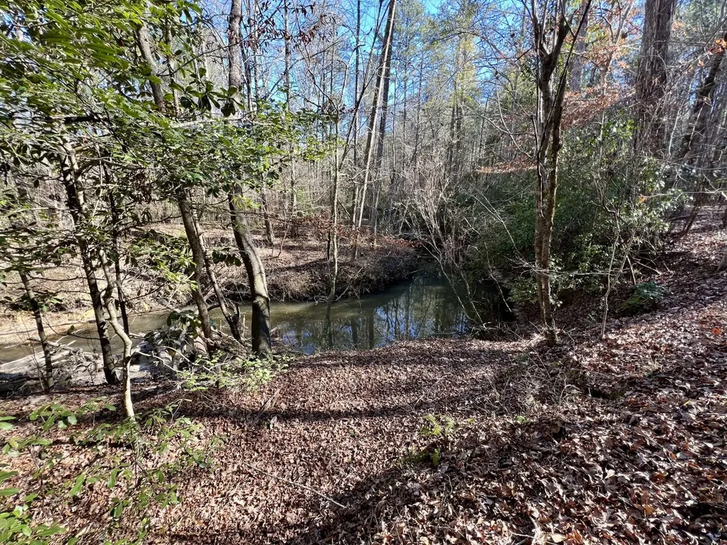 0 County Road 32 Mollie AL 36535