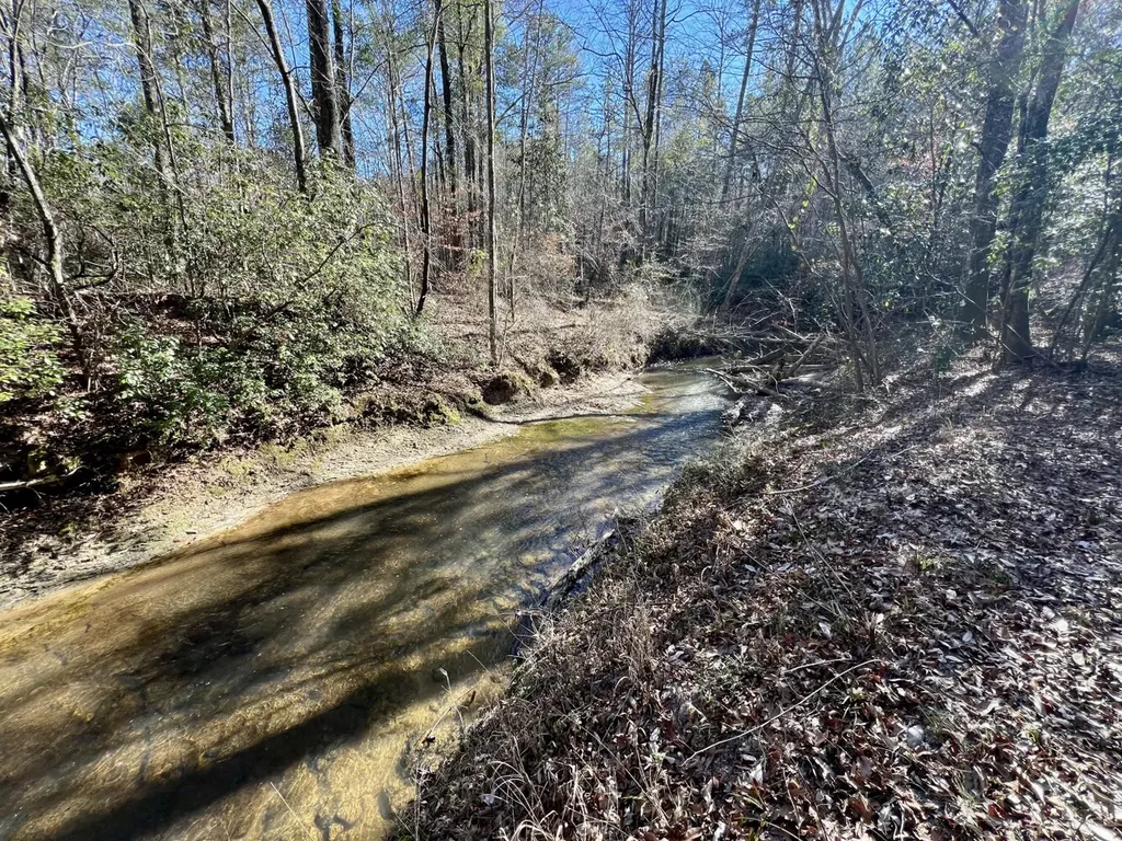 0 County Road 32 Mollie AL 36535