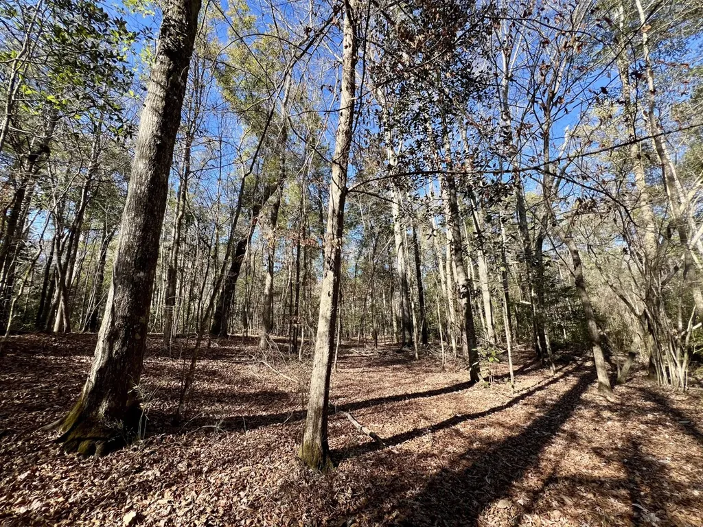 0 County Road 32 Mollie AL 36535