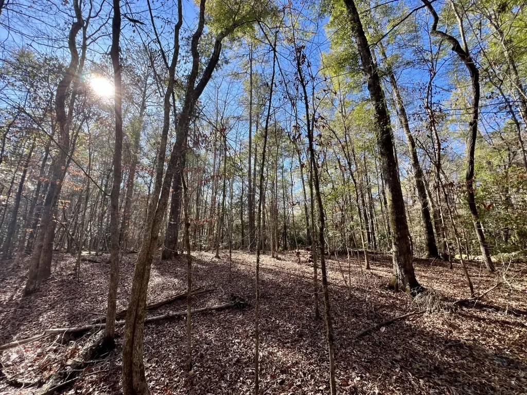 0 County Road 32 Mollie AL 36535