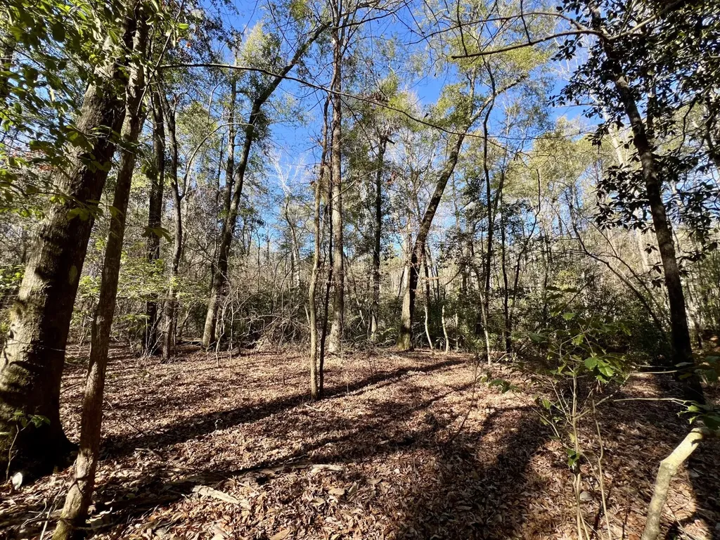 0 County Road 32 Mollie AL 36535