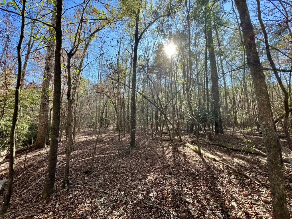 0 County Road 32 Mollie AL 36535