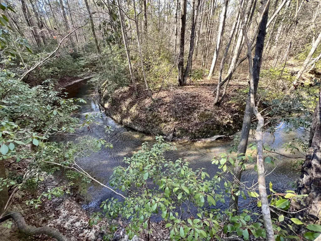 0 County Road 32 Mollie AL 36535