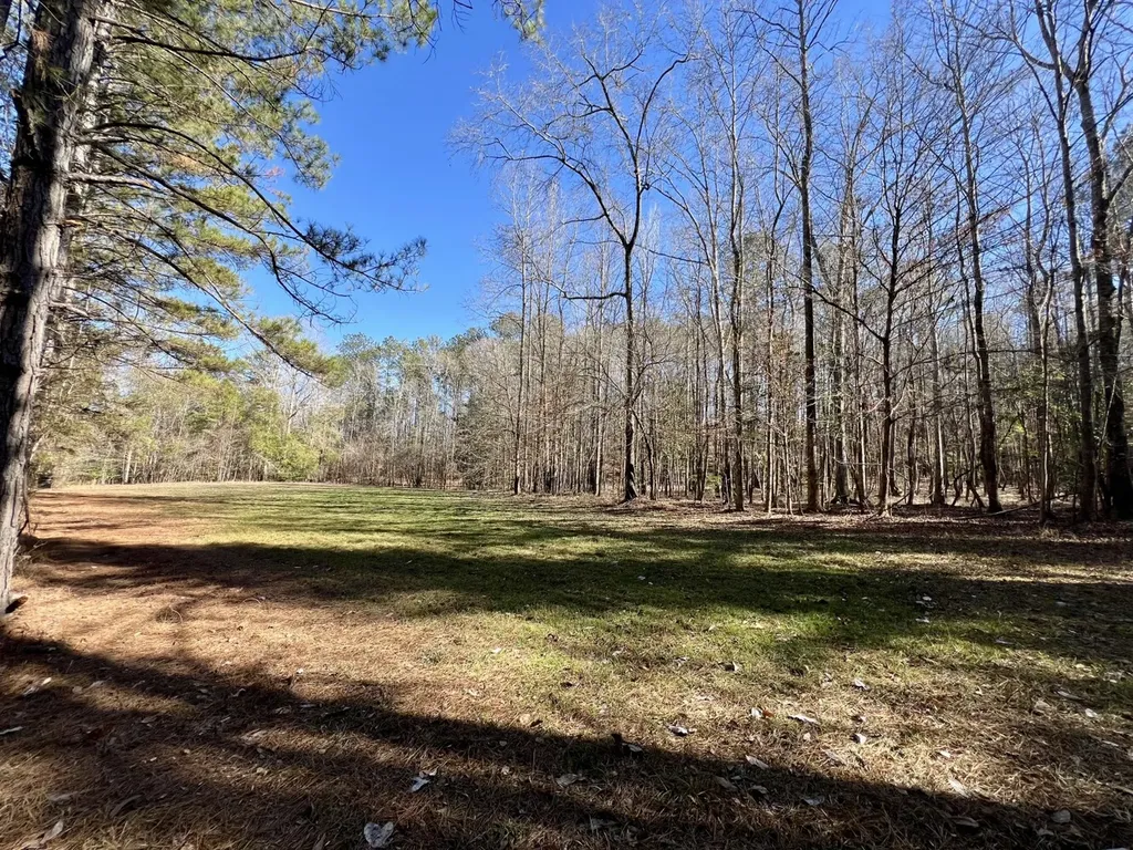 0 County Road 32 Mollie AL 36535