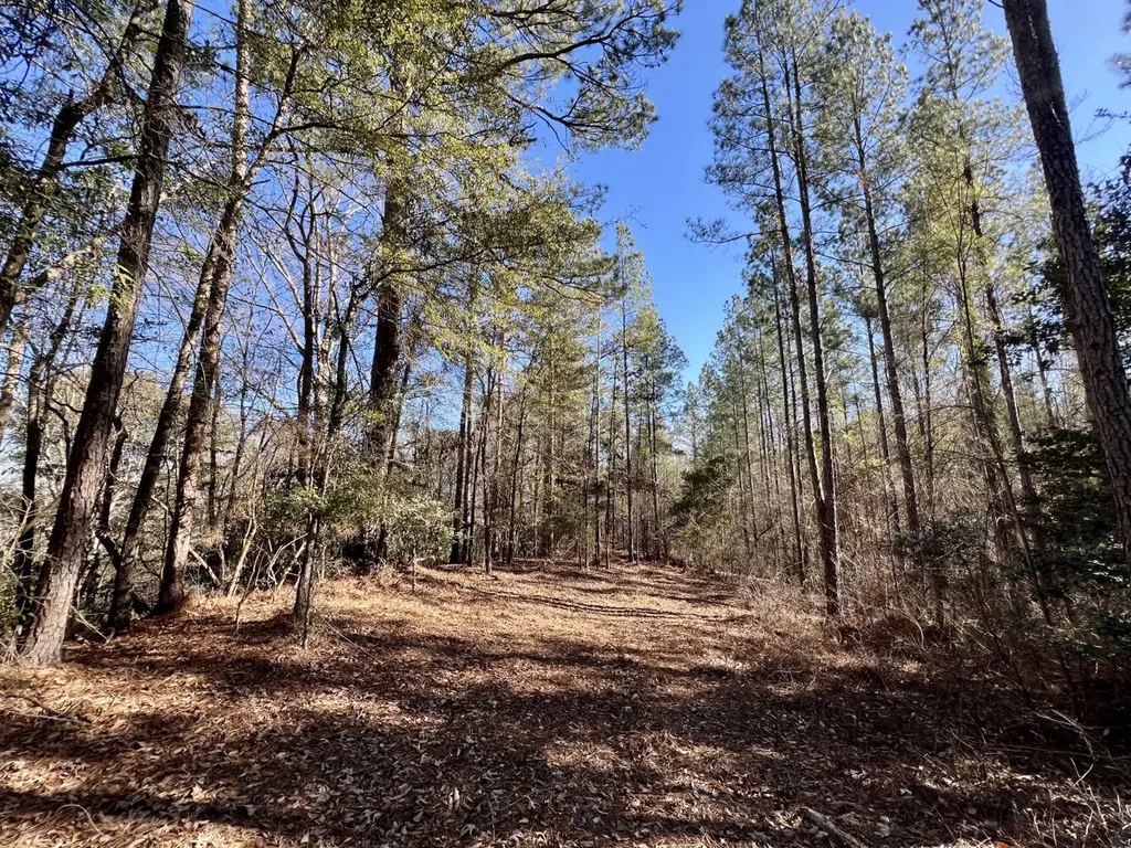 0 County Road 32 Mollie AL 36535