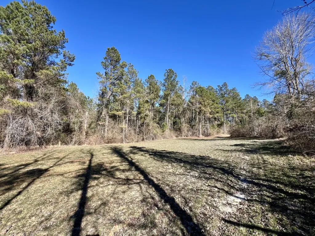 0 County Road 32 Mollie AL 36535