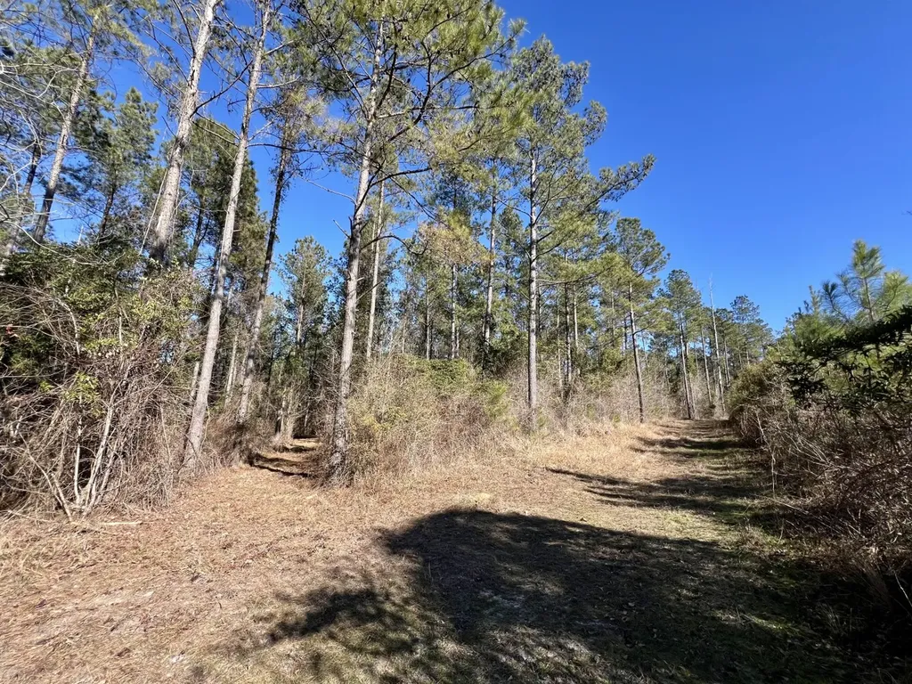 0 County Road 32 Mollie AL 36535