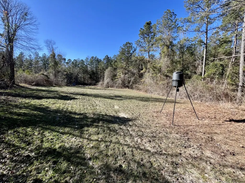 0 County Road 32 Mollie AL 36535