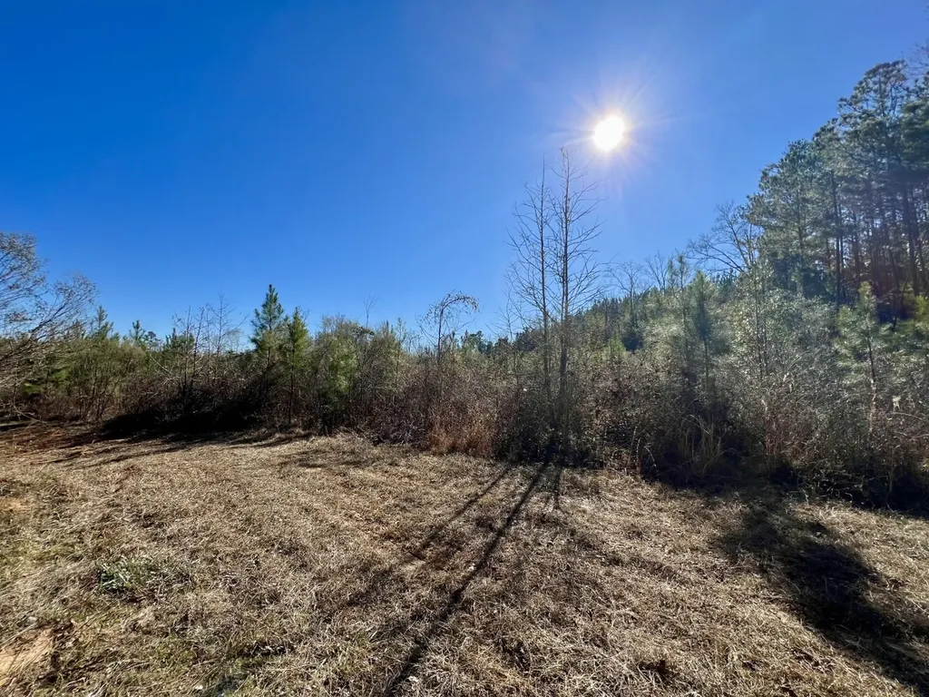 0 County Road 32 Mollie AL 36535