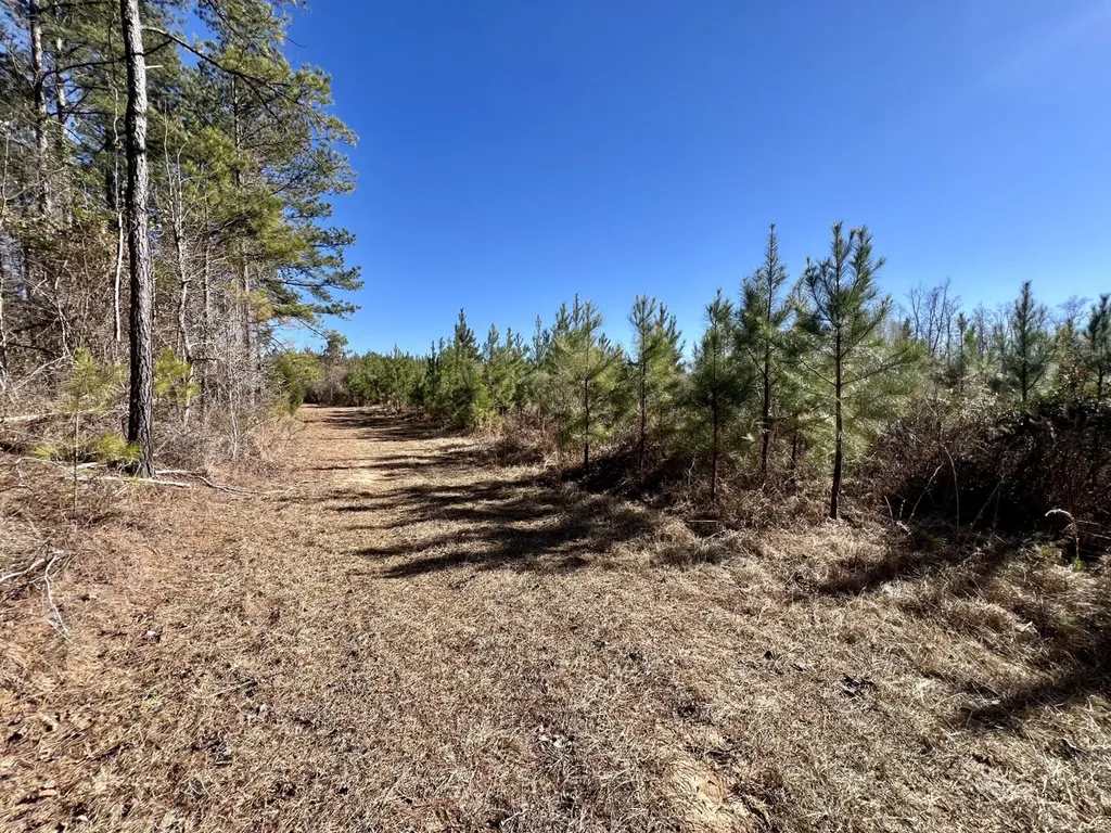 0 County Road 32 Mollie AL 36535