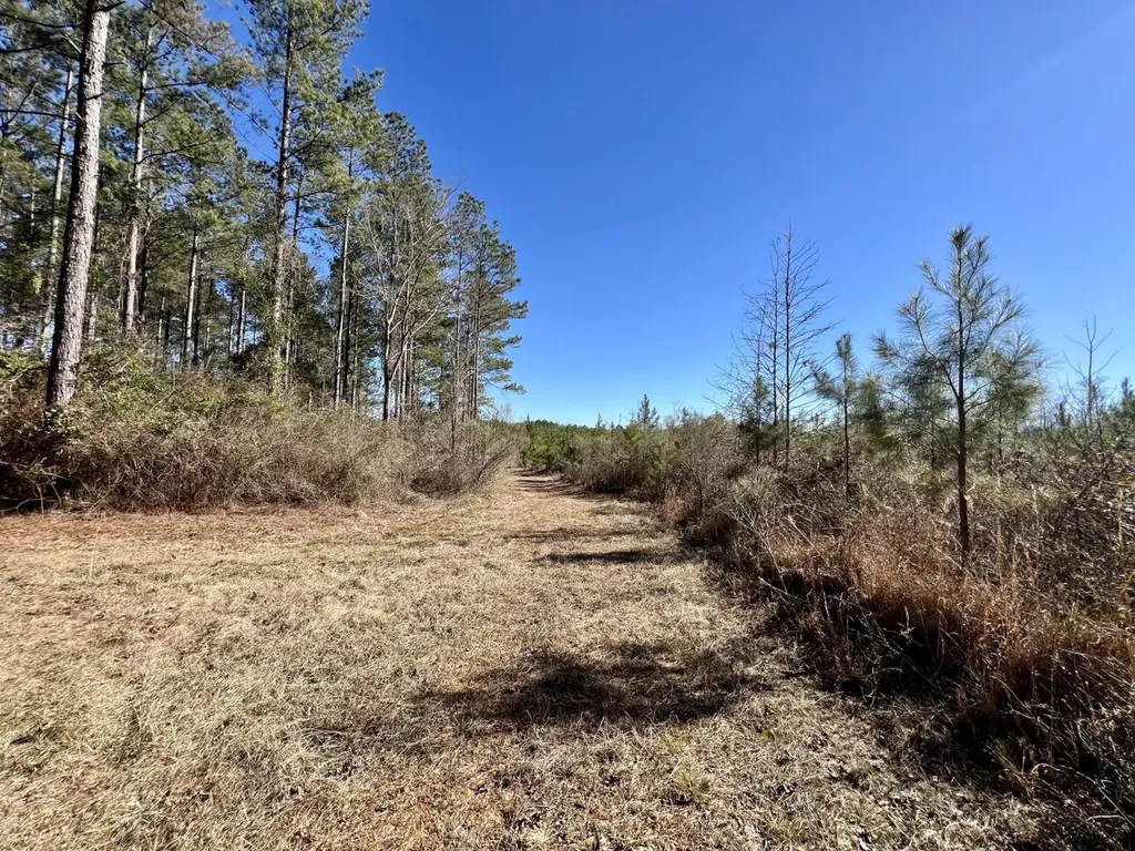 0 County Road 32 Mollie AL 36535