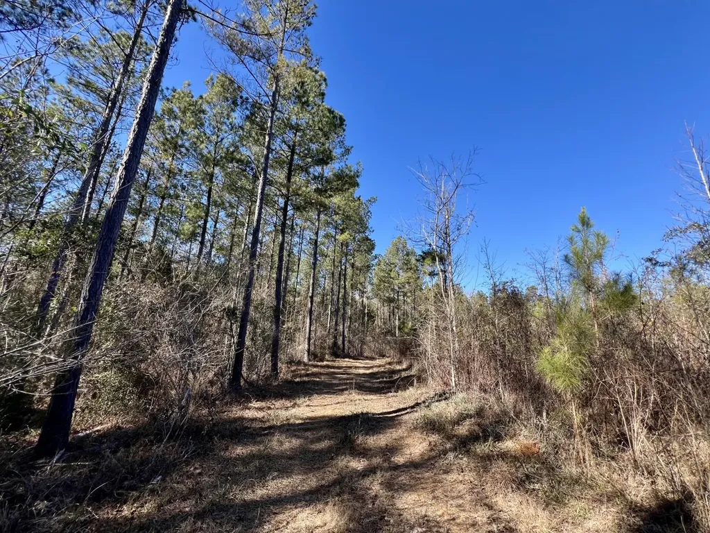 0 County Road 32 Mollie AL 36535