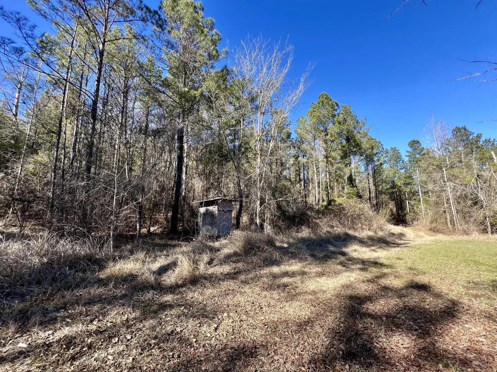 0 County Road 32 Mollie AL 36535