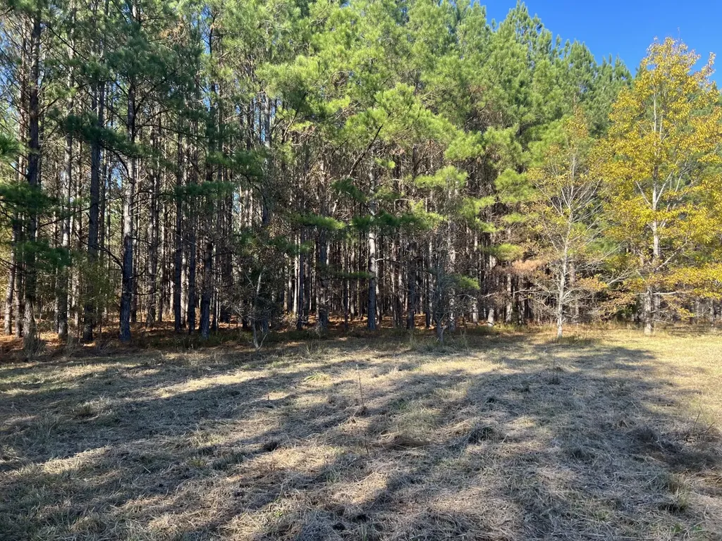 0 Hayes Crossing Road Millport AL 35576