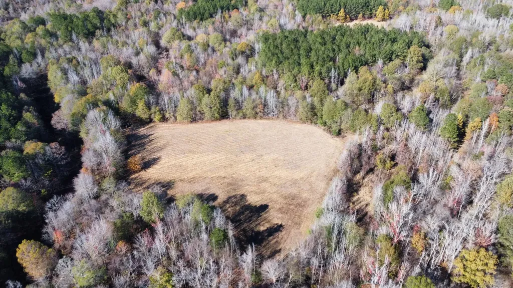 0 Hayes Crossing Road Millport AL 35576