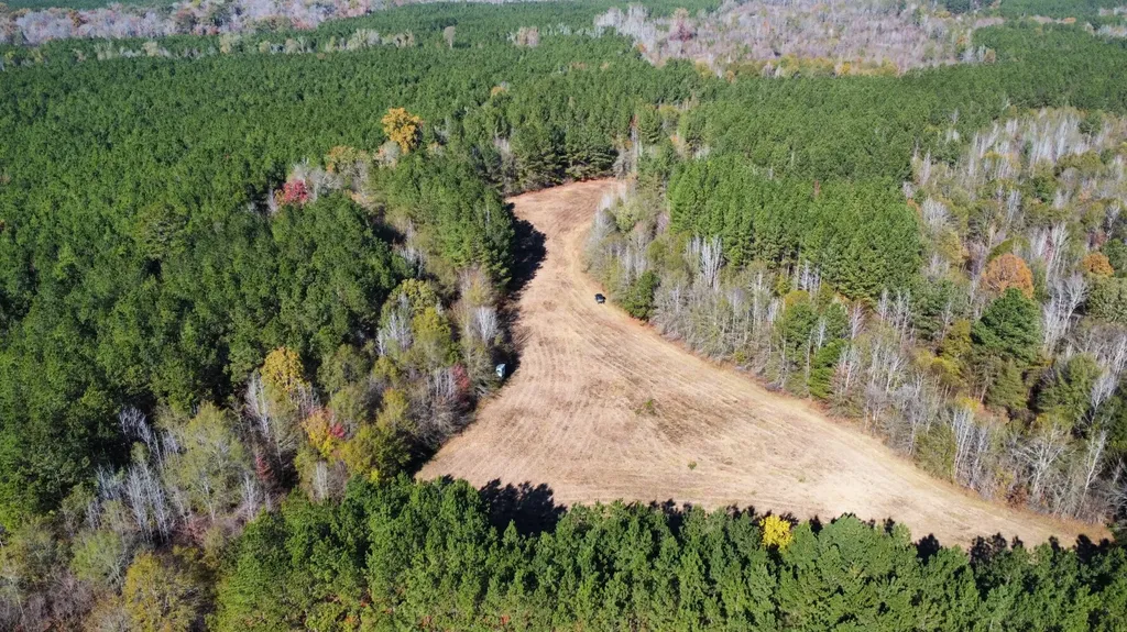 0 Hayes Crossing Road Millport AL 35576