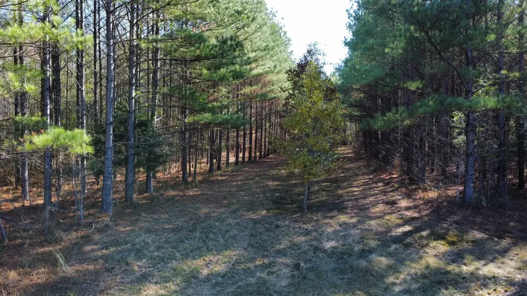 0 Hayes Crossing Road Millport AL 35576