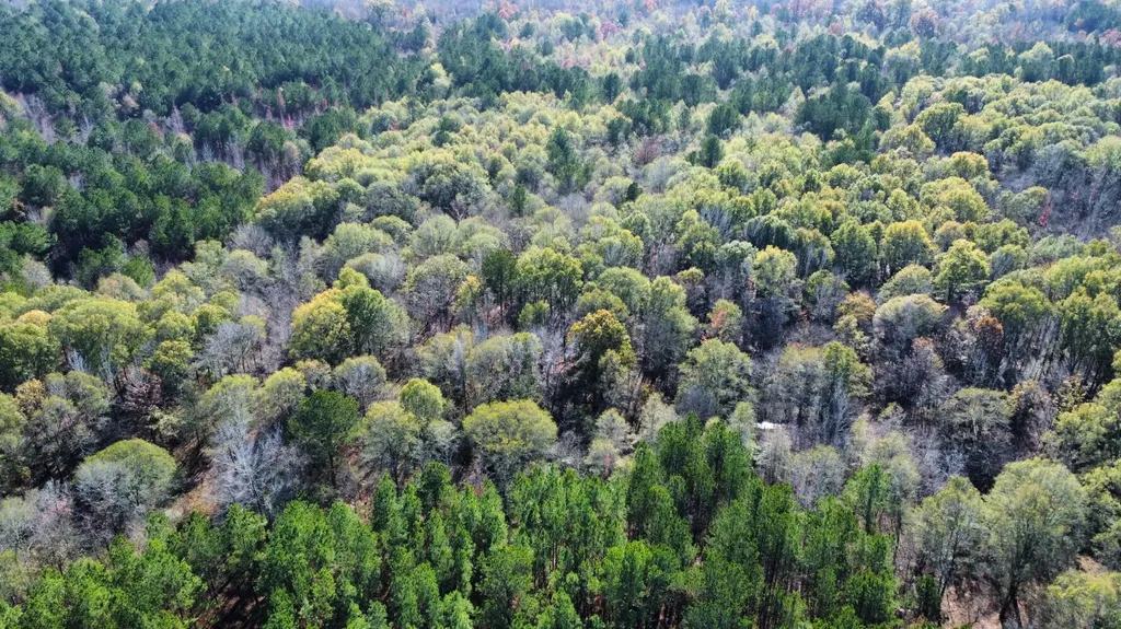 0 Hayes Crossing Road Millport AL 35576