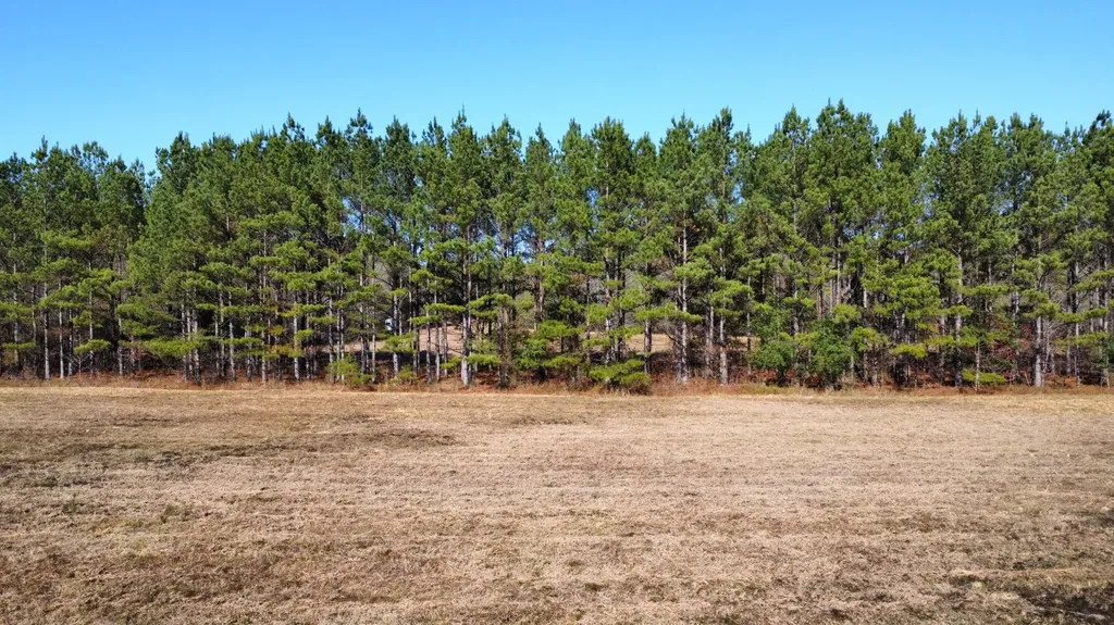 0 Hayes Crossing Road Millport AL 35576