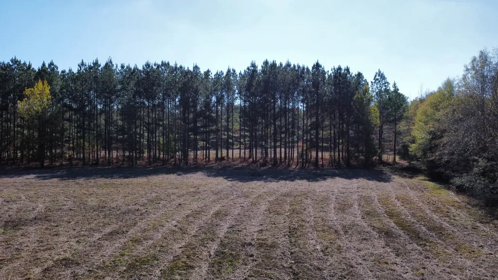 0 Hayes Crossing Road Millport AL 35576