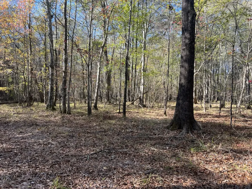 0 Hayes Crossing Road Millport AL 35576