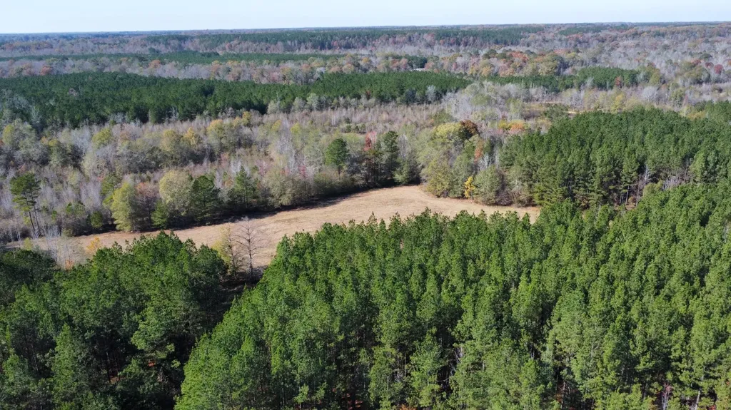 0 Hayes Crossing Road Millport AL 35576