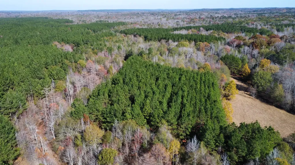 0 Hayes Crossing Road Millport AL 35576