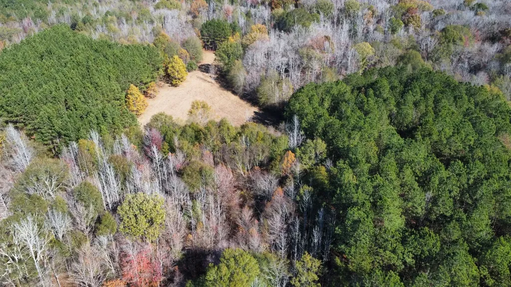 0 Hayes Crossing Road Millport AL 35576