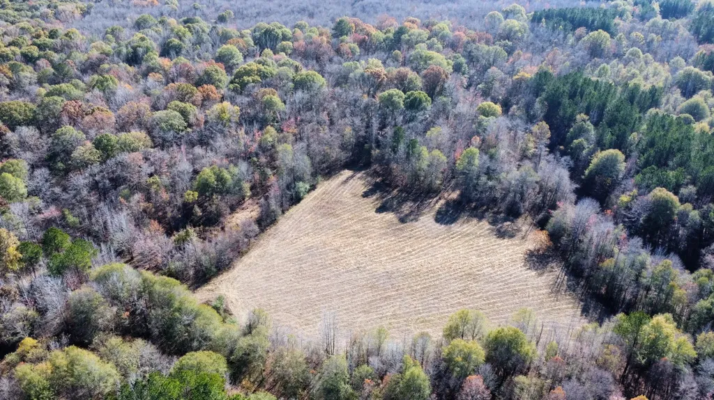 0 Hayes Crossing Road Millport AL 35576