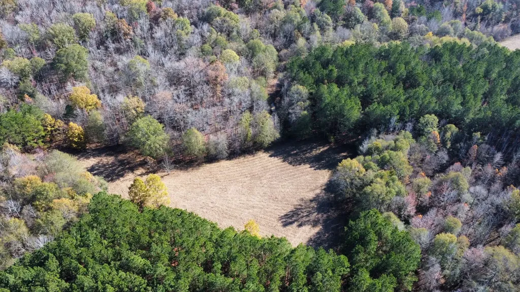 0 Hayes Crossing Road Millport AL 35576