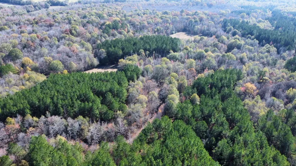 0 Hayes Crossing Road Millport AL 35576