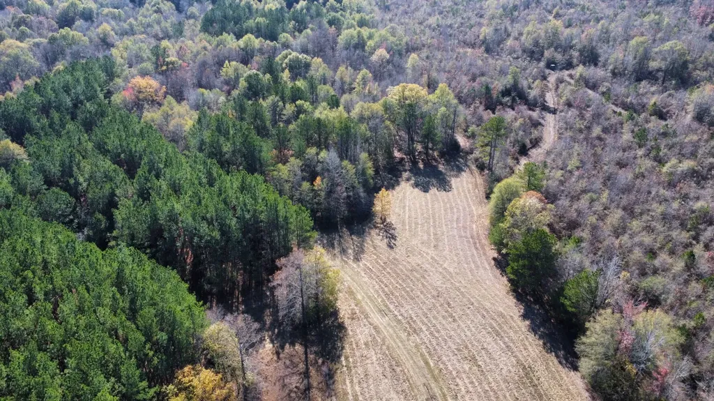 0 Hayes Crossing Road Millport AL 35576