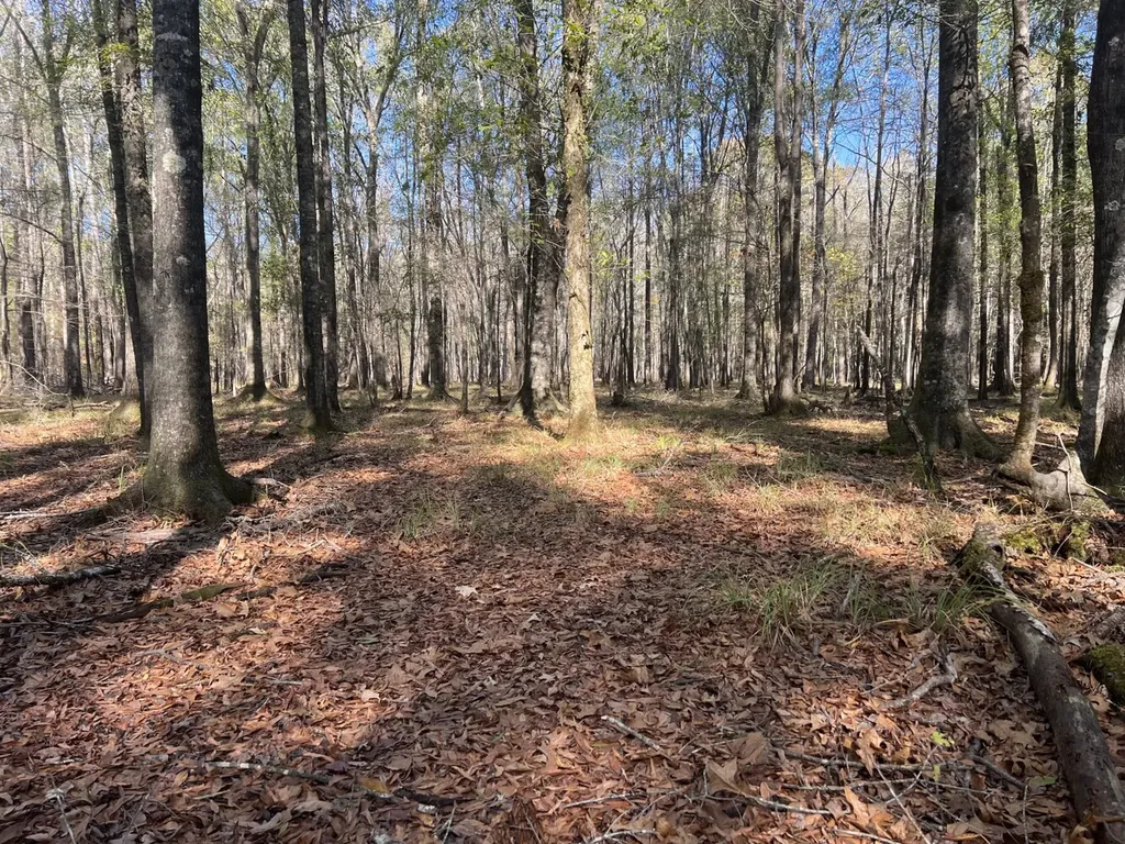 0 Hayes Crossing Road Millport AL 35576