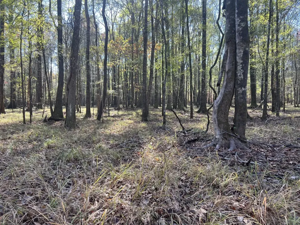 0 Hayes Crossing Road Millport AL 35576