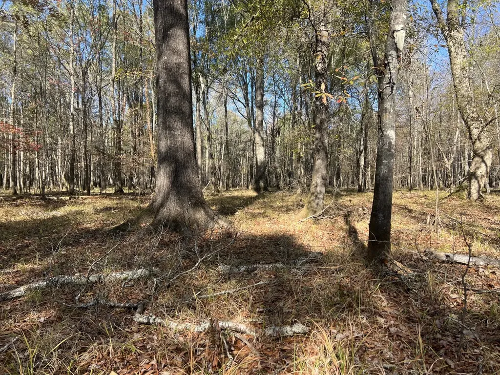 0 Hayes Crossing Road Millport AL 35576