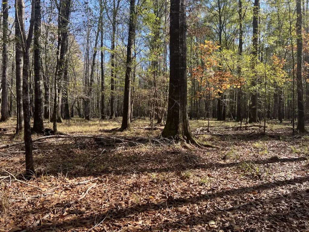 0 Hayes Crossing Road Millport AL 35576