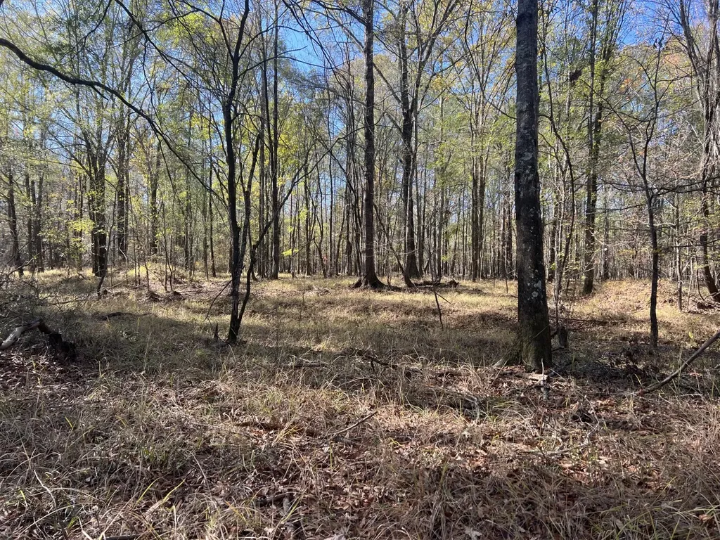 0 Hayes Crossing Road Millport AL 35576